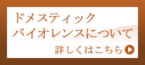 ドメスティックバイオレンスについて 詳しくはこちら